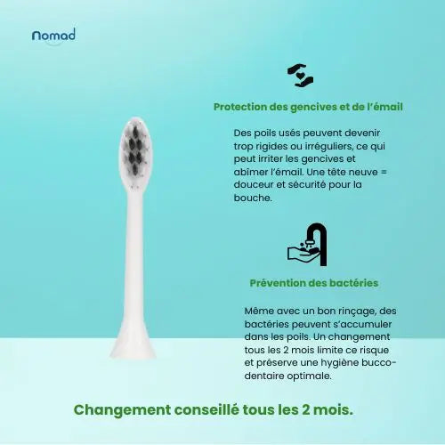 Tête de brosse à dents sonique pour adulte, couleur blanche